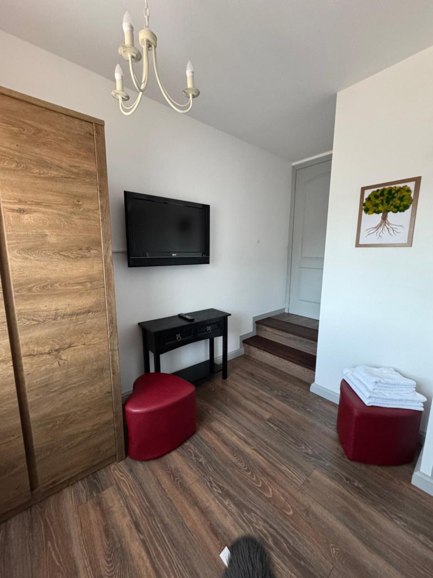 Chalet Bora Viseu de Jos Eksteriør billede