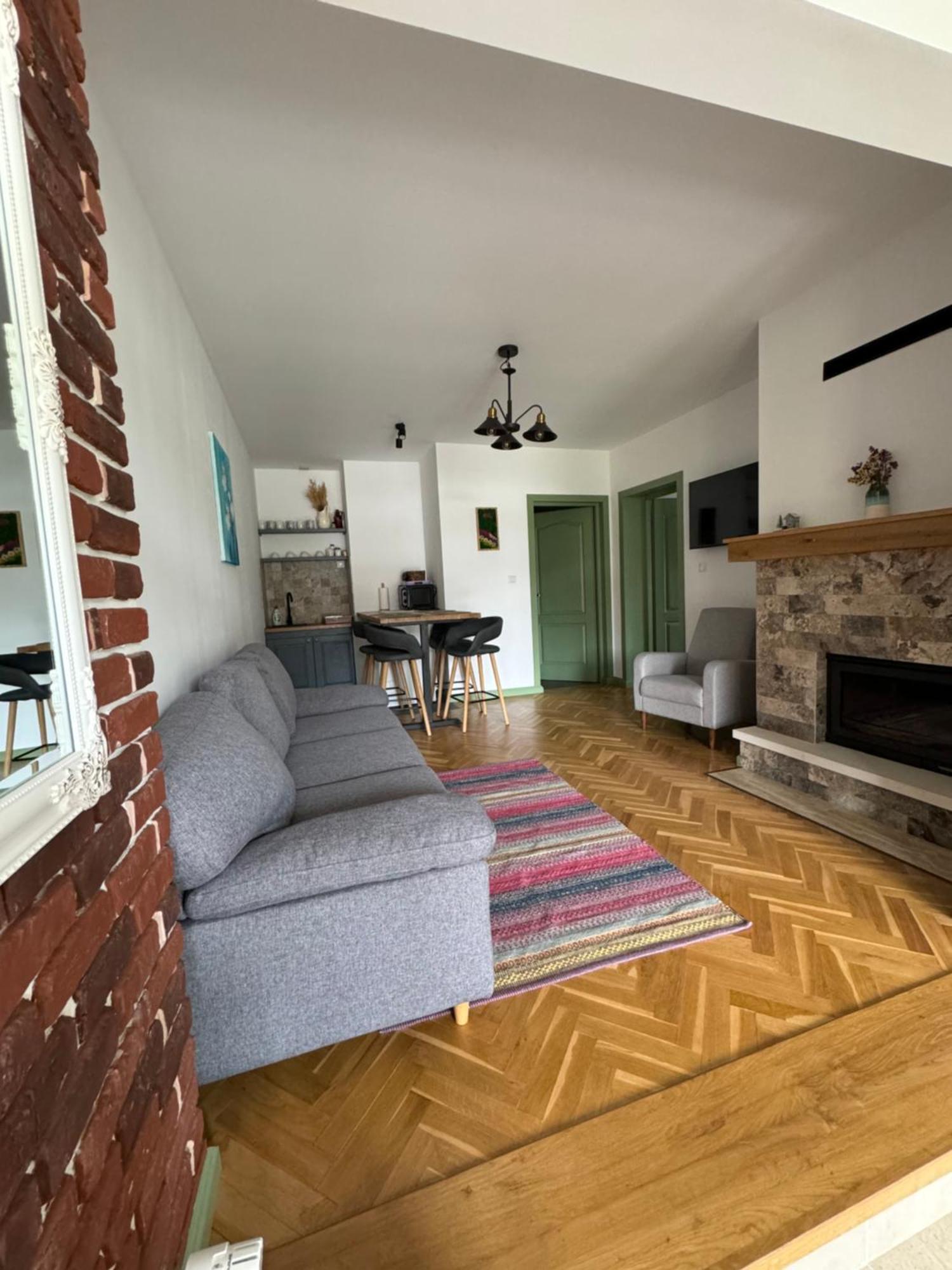 Chalet Bora Viseu de Jos Eksteriør billede