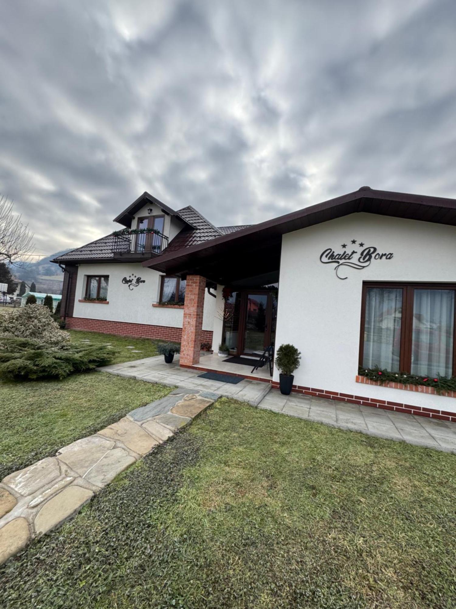 Chalet Bora Viseu de Jos Eksteriør billede