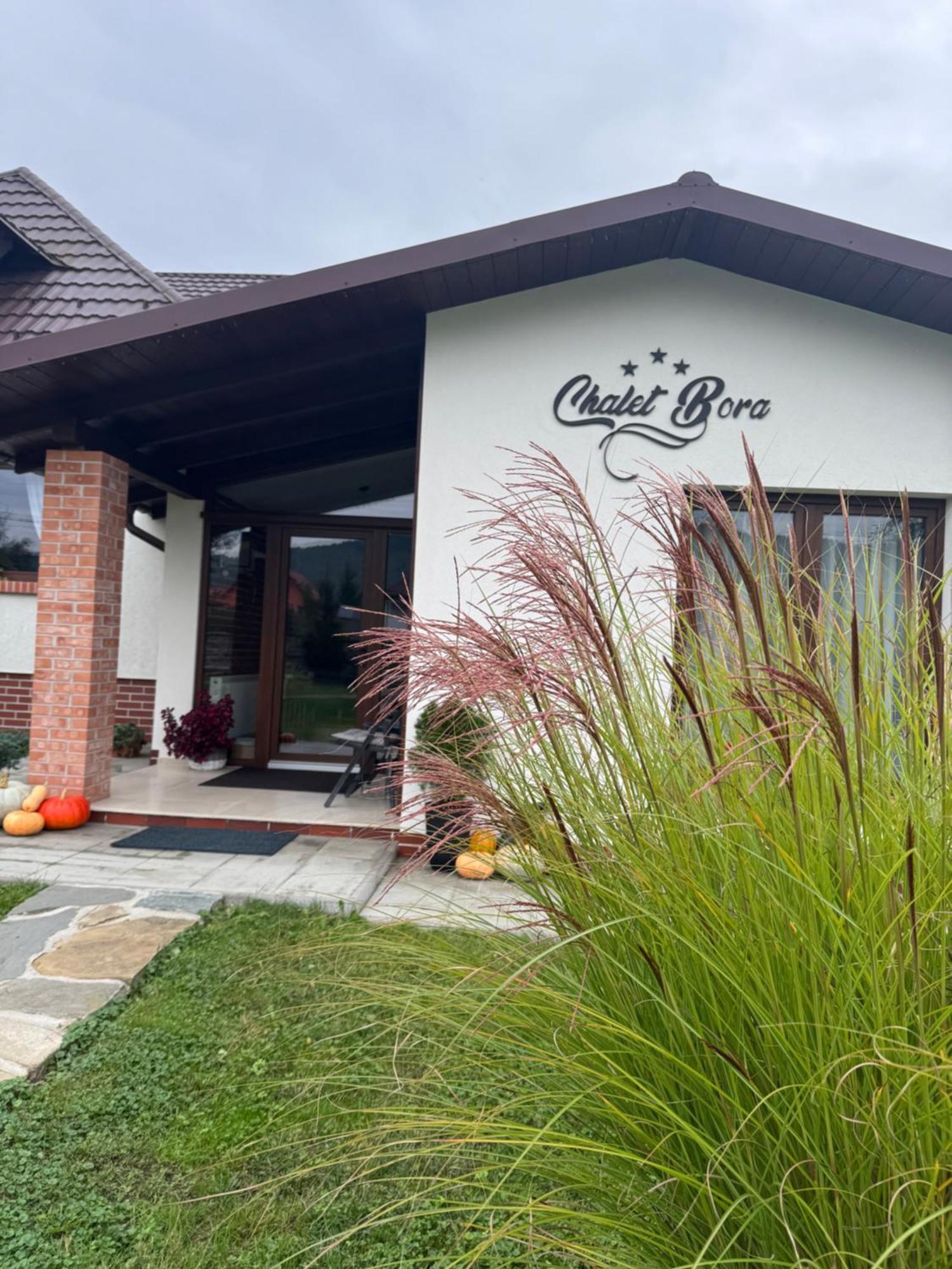 Chalet Bora Viseu de Jos Eksteriør billede