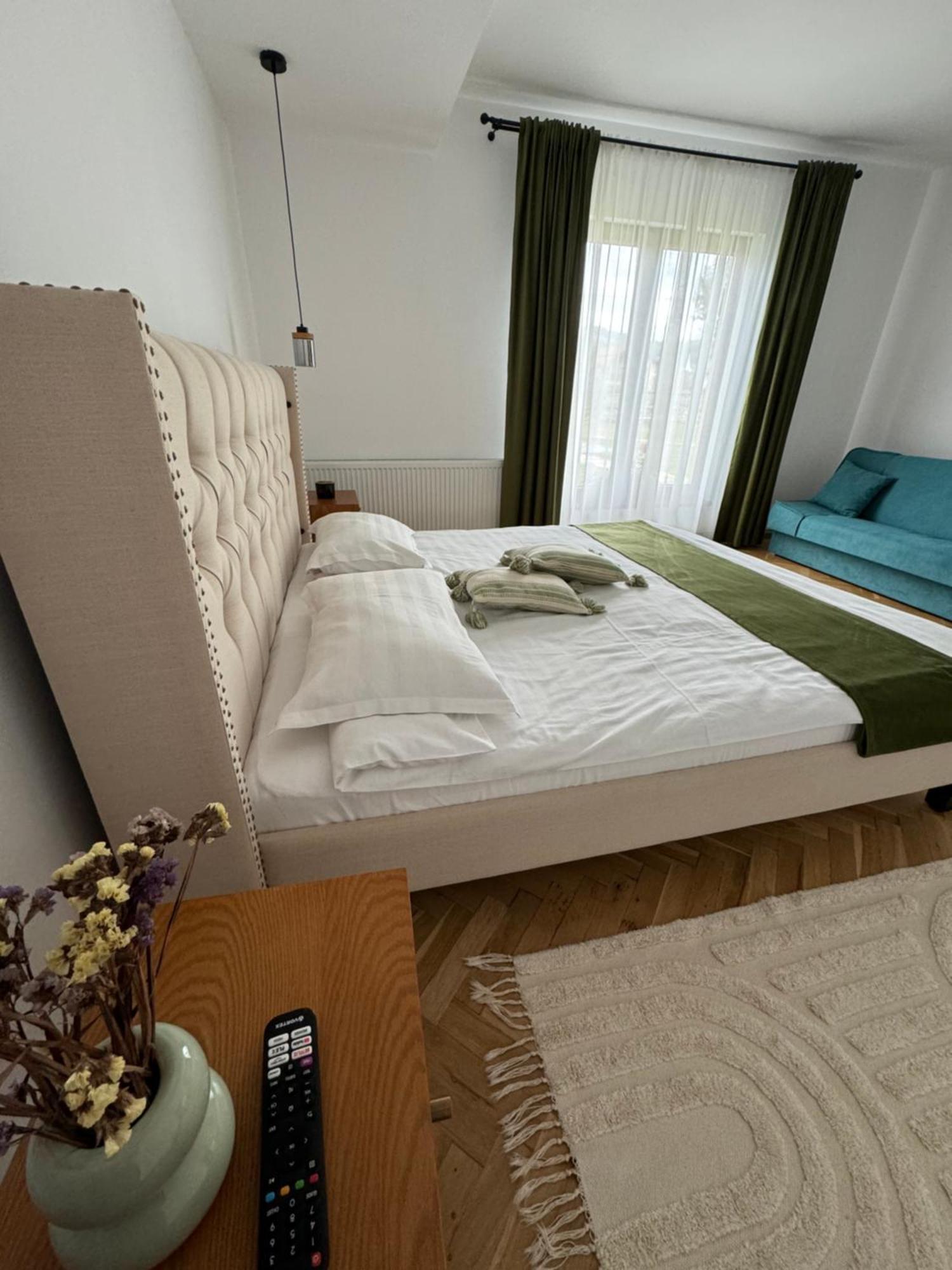 Chalet Bora Viseu de Jos Eksteriør billede