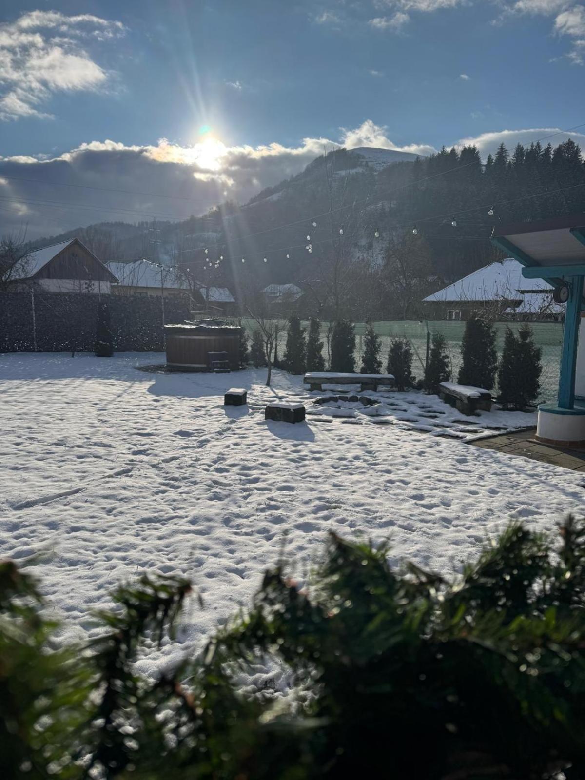 Chalet Bora Viseu de Jos Eksteriør billede
