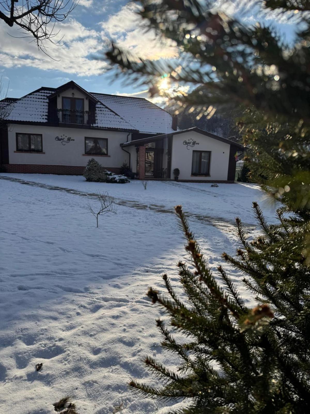 Chalet Bora Viseu de Jos Eksteriør billede