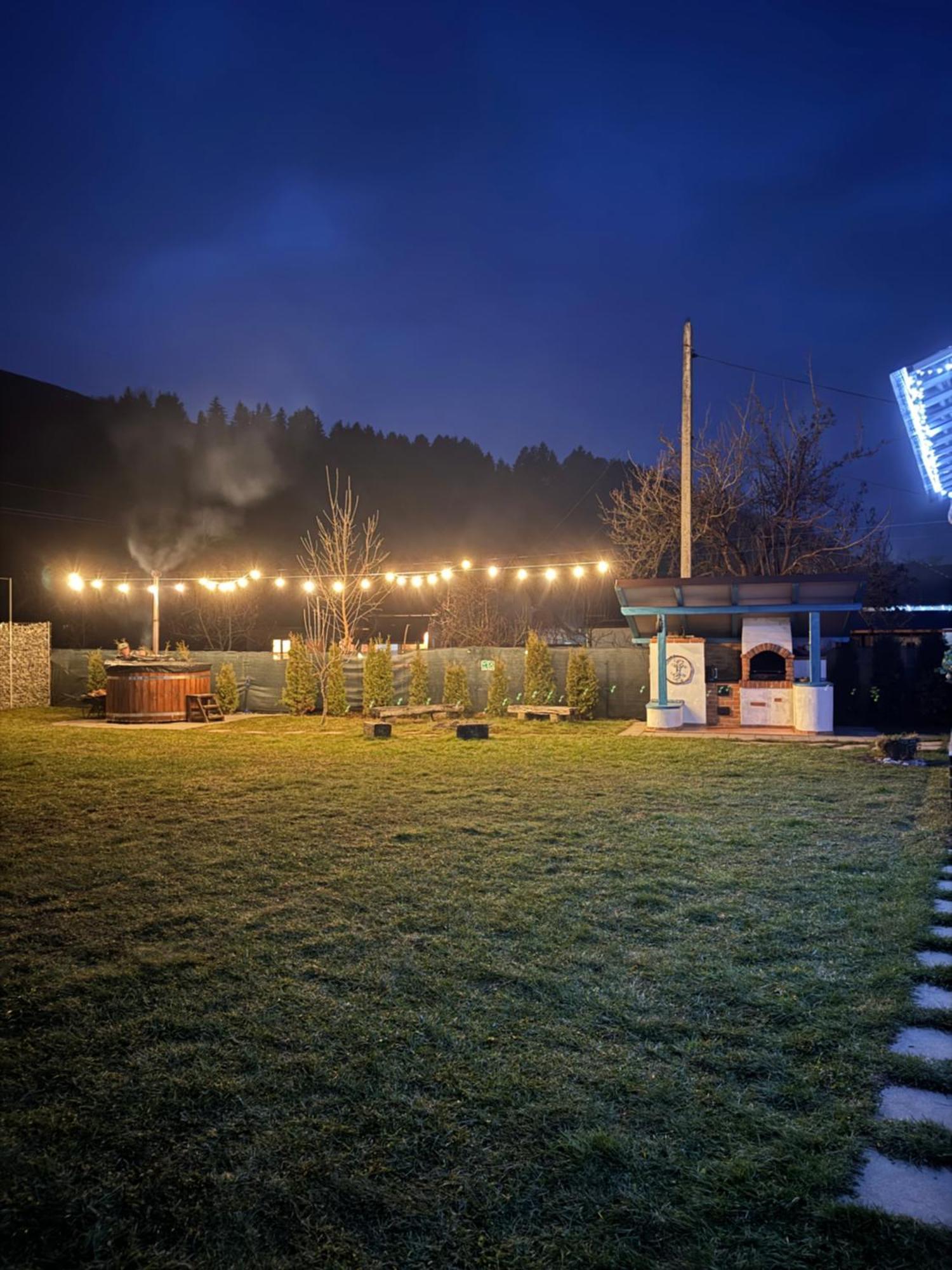 Chalet Bora Viseu de Jos Eksteriør billede