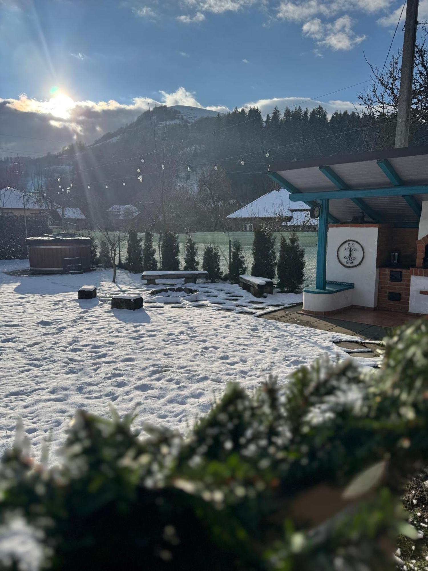 Chalet Bora Viseu de Jos Eksteriør billede