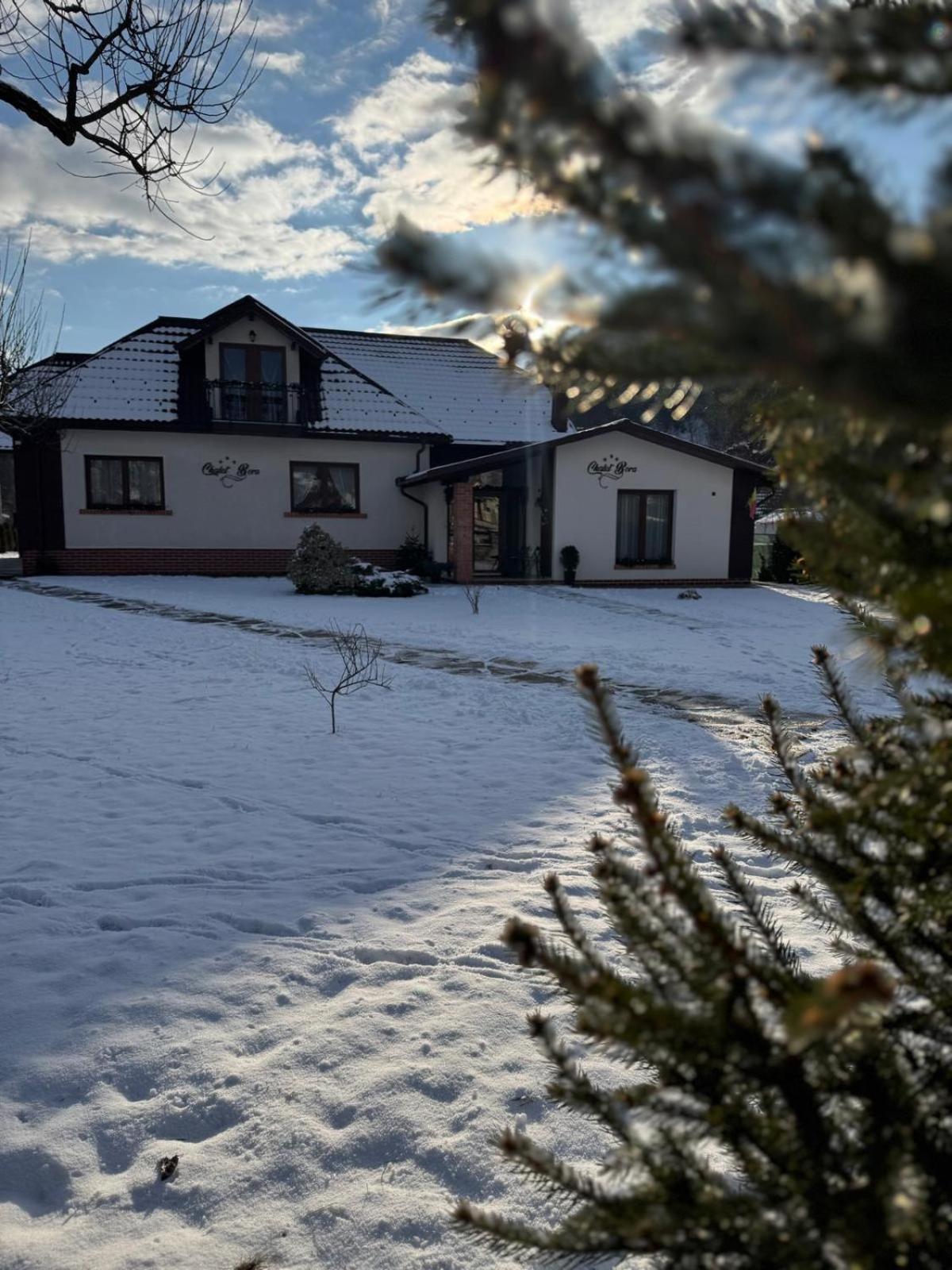 Chalet Bora Viseu de Jos Eksteriør billede