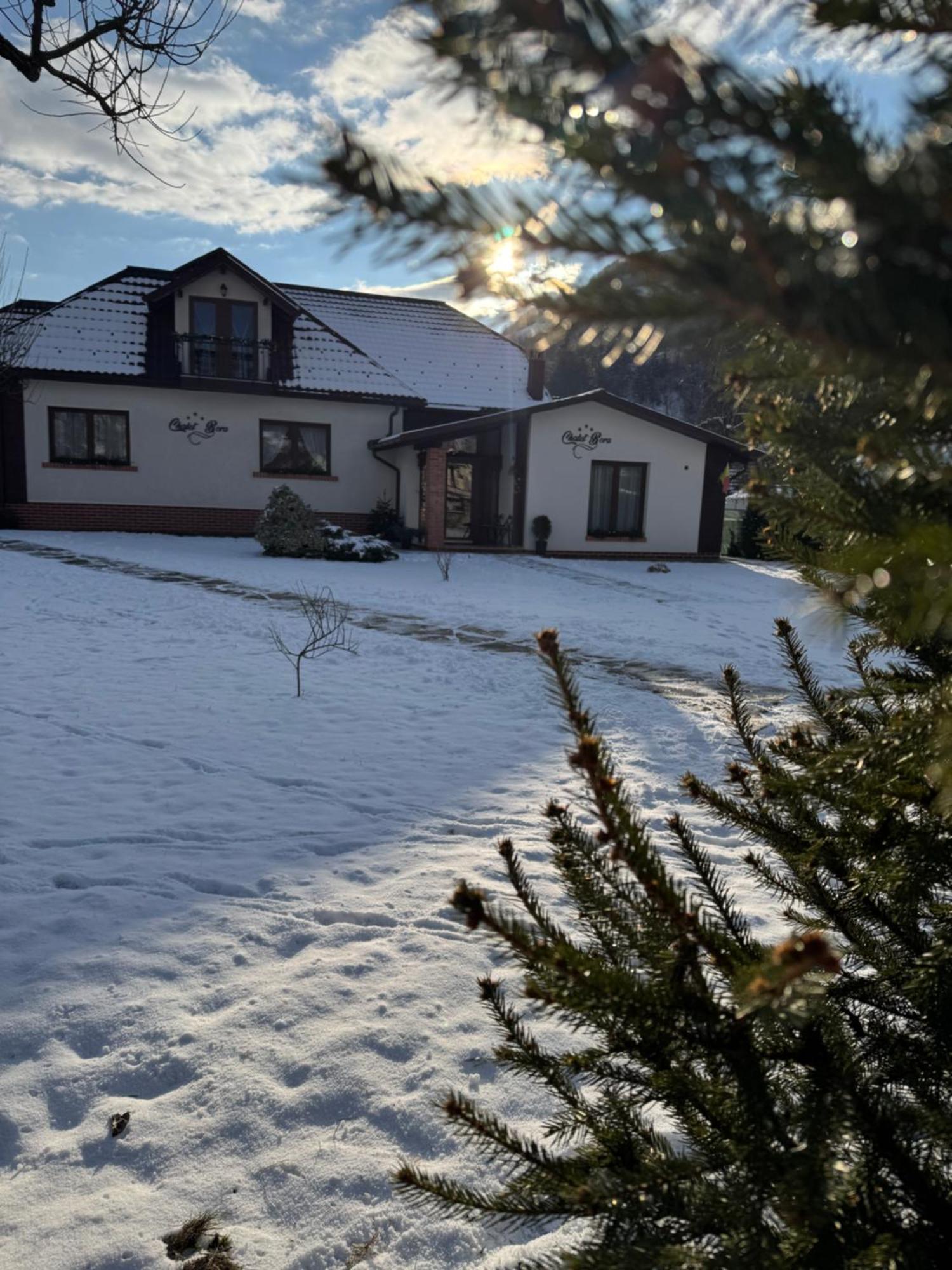 Chalet Bora Viseu de Jos Eksteriør billede