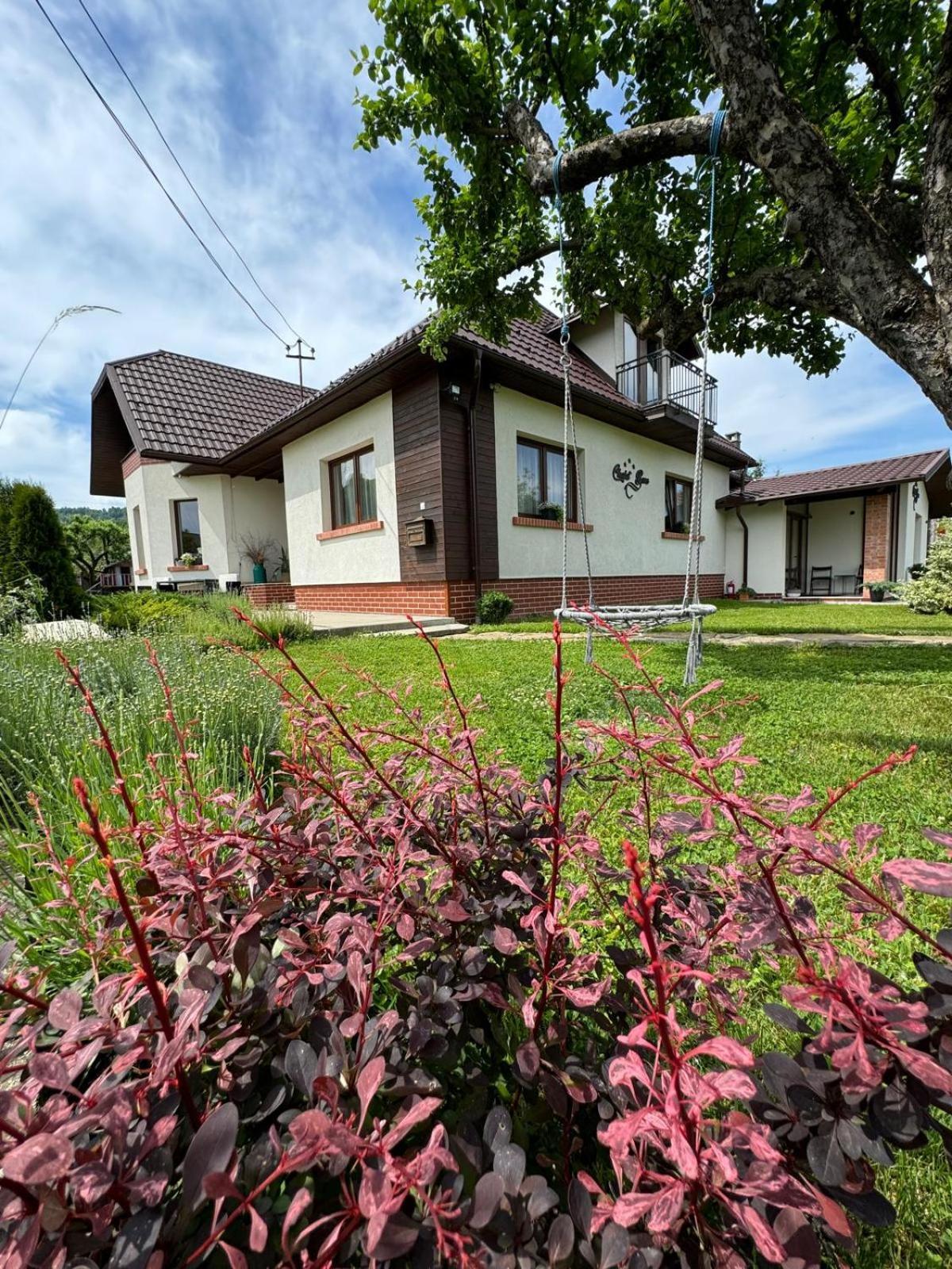 Chalet Bora Viseu de Jos Eksteriør billede