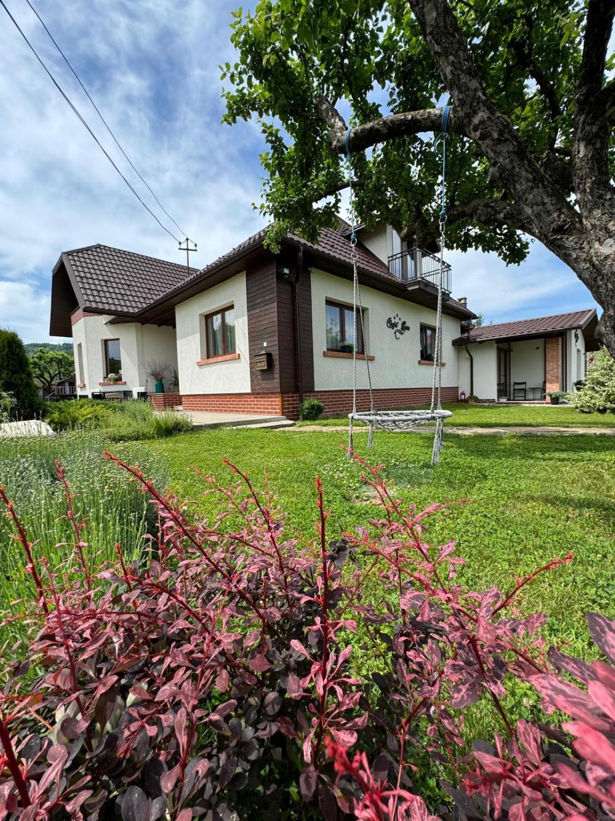 Chalet Bora Viseu de Jos Eksteriør billede