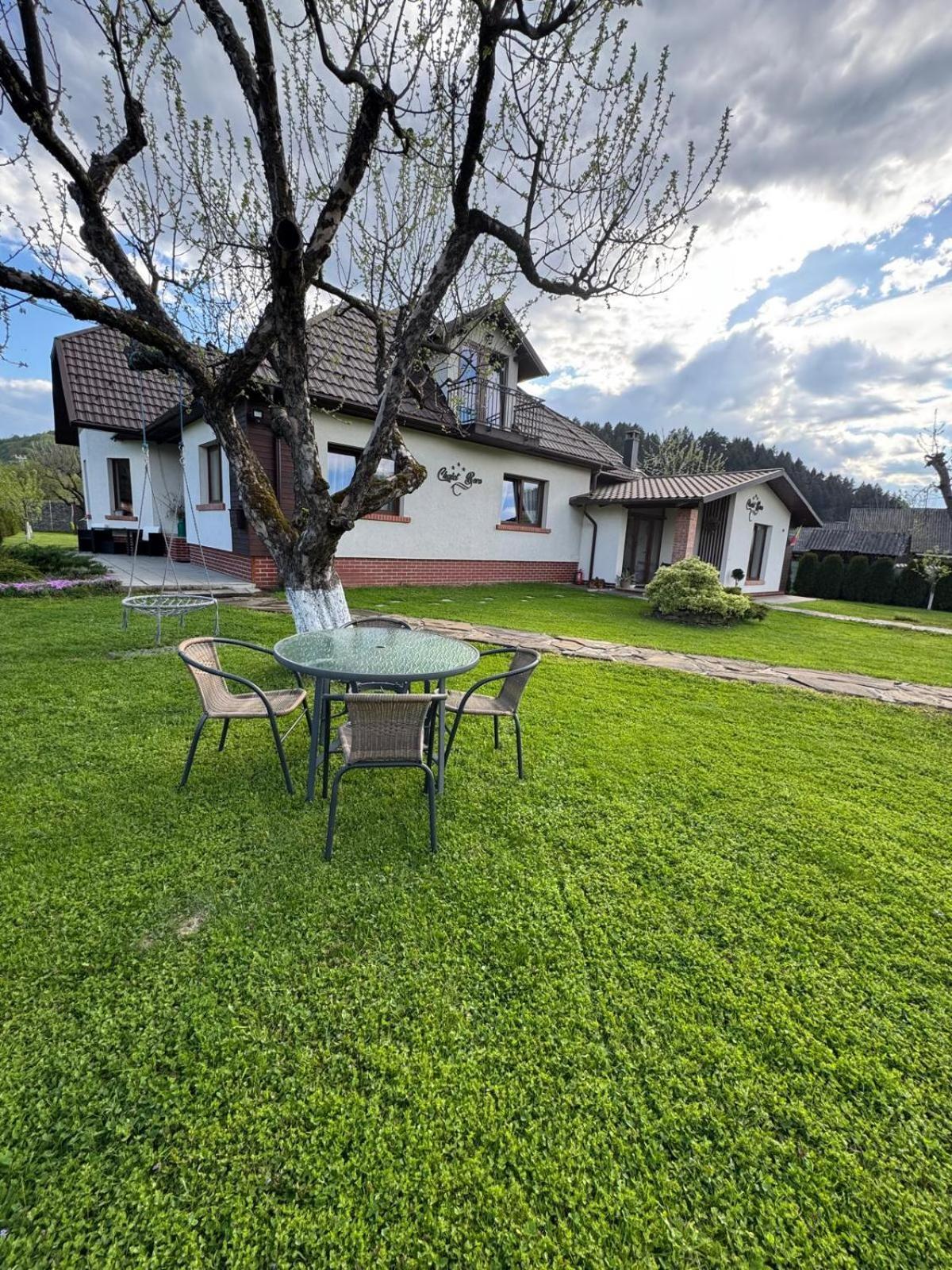 Chalet Bora Viseu de Jos Eksteriør billede